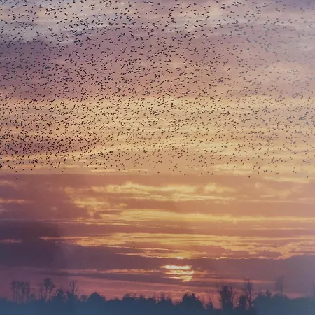 Appartement Meeresbrise *