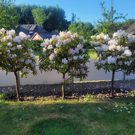 Meeresbrise Aventoft