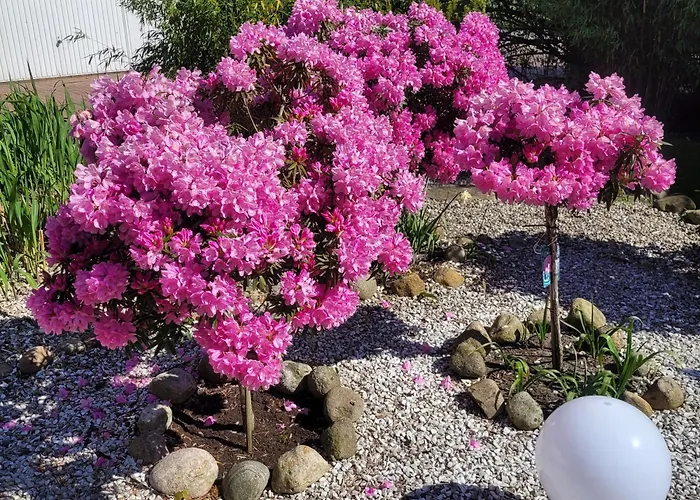 Meeresbrise * Aventoft