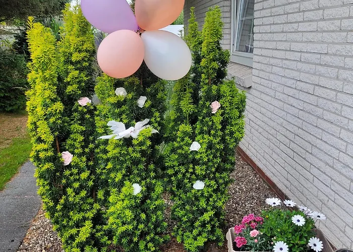 Meeresbrise Aventoft